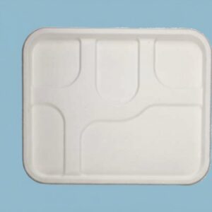 bagasse meal tray
