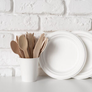 bagasse plates